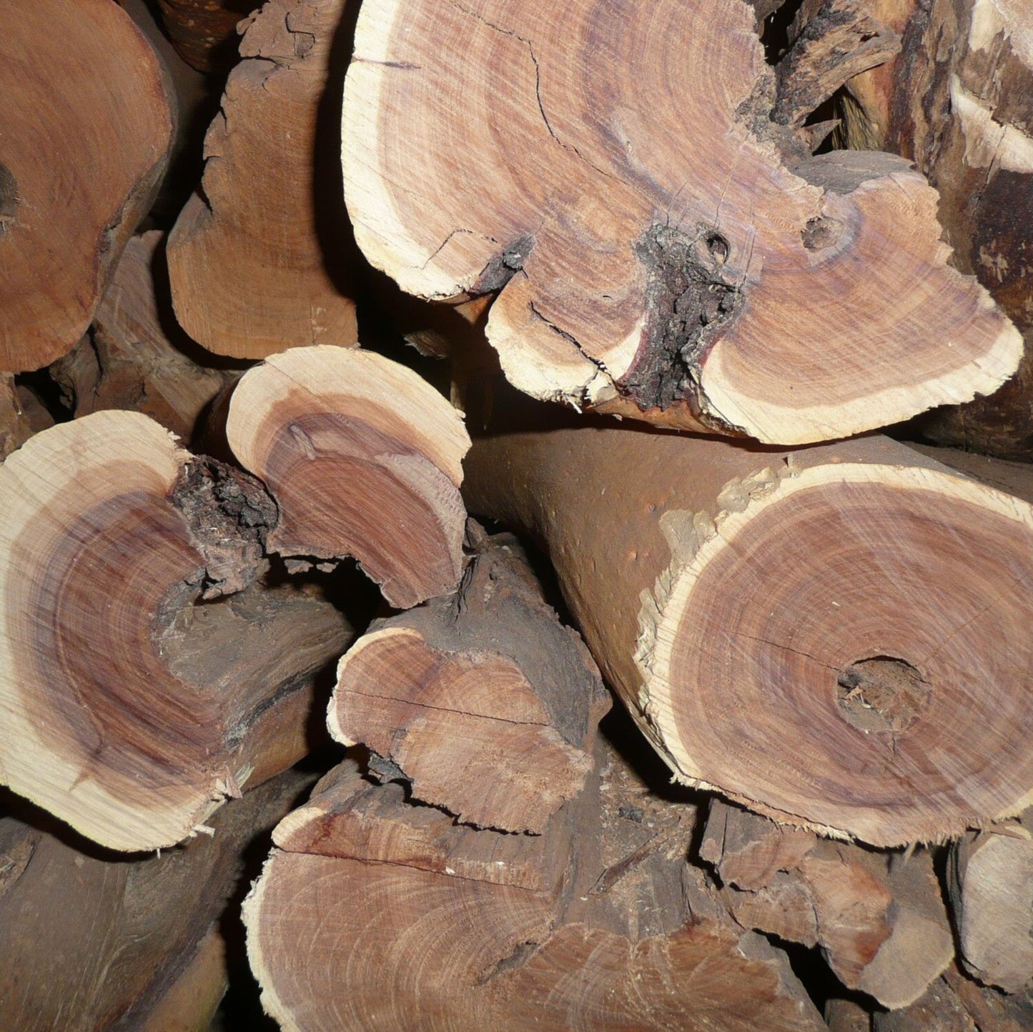 Sandelholzhydrolat 75 ml